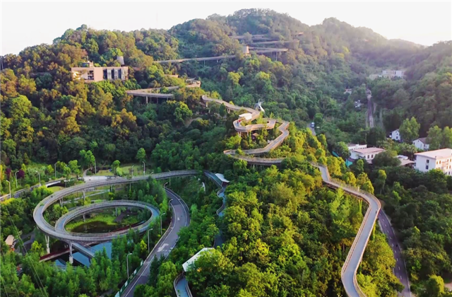 尊龙·Z6集团荣获两项国家级协会工程建设科学技术奖！